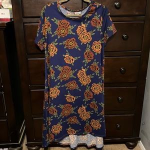 Carly Dress, worn maybe 2x